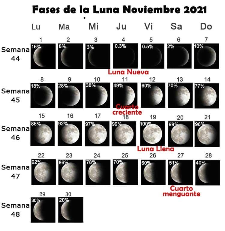 Fases de la luna noviembre 2021